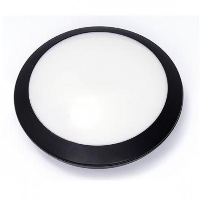 IP66 Outdoor Ceiling Light and Moisture-proof Light