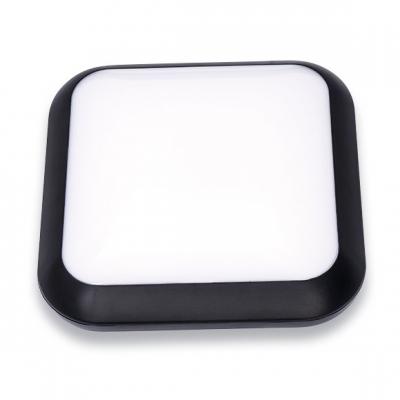 IP66 Outdoor Ceiling Light and Moisture-proof Light